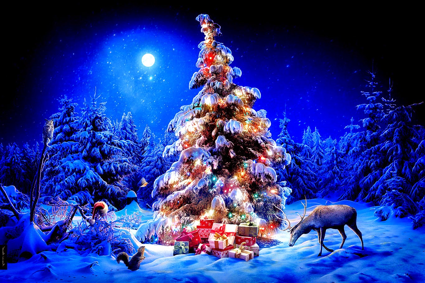 экскурсионные туры на Новый год и Рождество