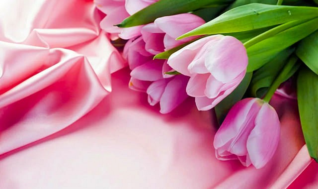 Экскурсии на 8 марта